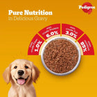 Pedigree Chicken Chunks in Gravy Puppy Wet Dog Food - 130g - Zigly