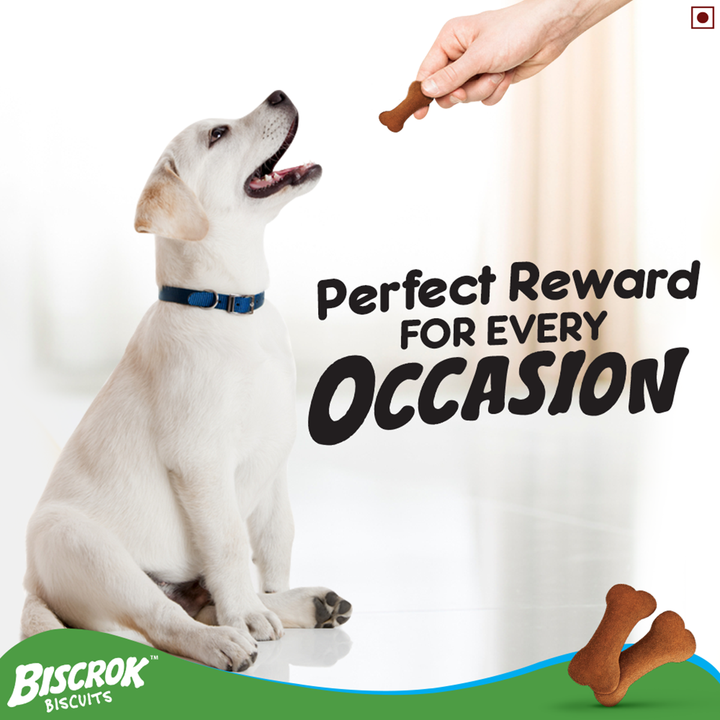 Pedigree Biscrok Chicken Flavor Dog Biscuits - 900g