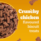 Pedigree Biscrok Chicken Flavor Dog Biscuits - 900g