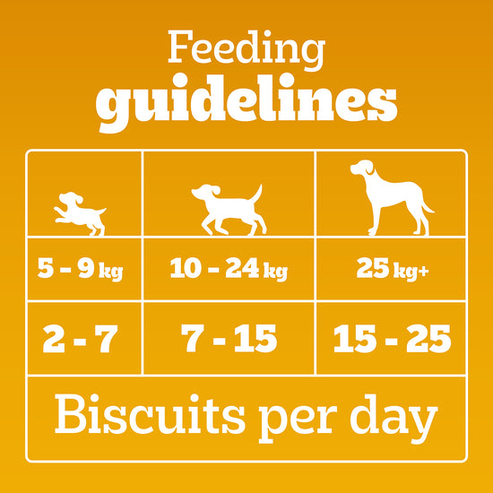 Pedigree Biscrok Milk & Chicken Flavor Dog Biscuits - 900g