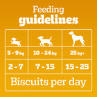 Pedigree Biscrok Milk & Chicken Flavor Dog Biscuits - 900g