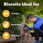 Pedigree Biscrok Milk & Chicken Flavor Dog Biscuits - 900g