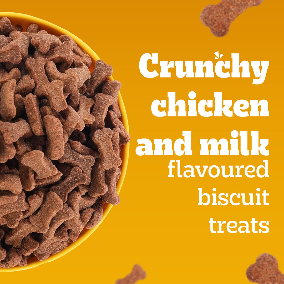 Pedigree Biscrok Milk & Chicken Flavor Dog Biscuits - 900g