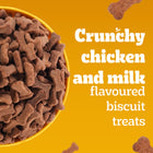 Pedigree Biscrok Milk & Chicken Flavor Dog Biscuits - 900g