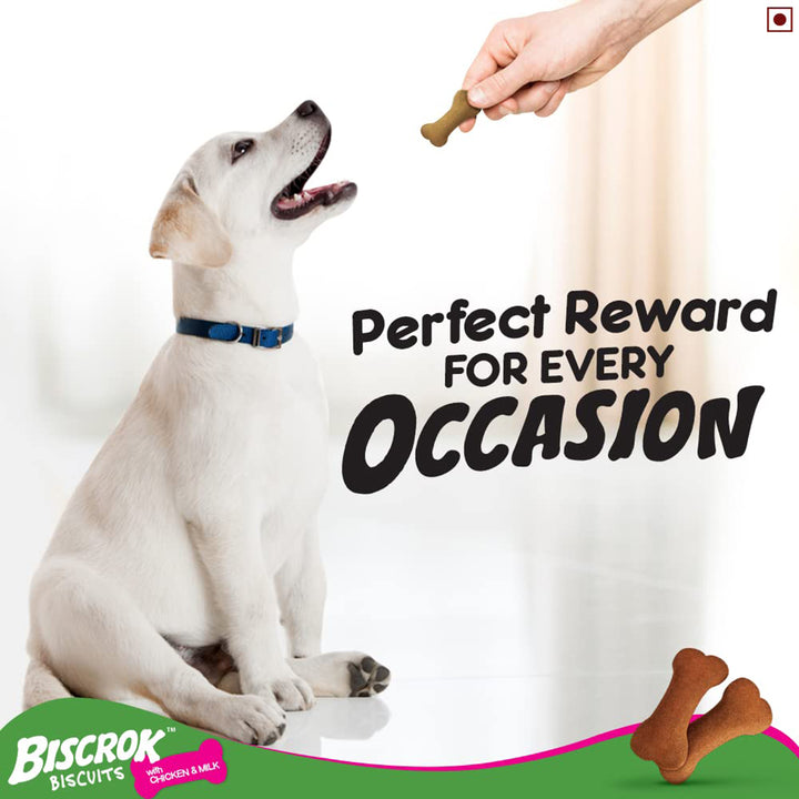 Pedigree Biscrok Milk & Chicken Flavor Dog Biscuits - 900g