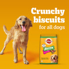 Pedigree Biscrok Milk & Chicken Flavor Dog Biscuits - 900g