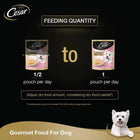 Cesar Premium Sasami (Gourmet Meal) Wet Dog Food - All Breed Adult - 70g - Zigly