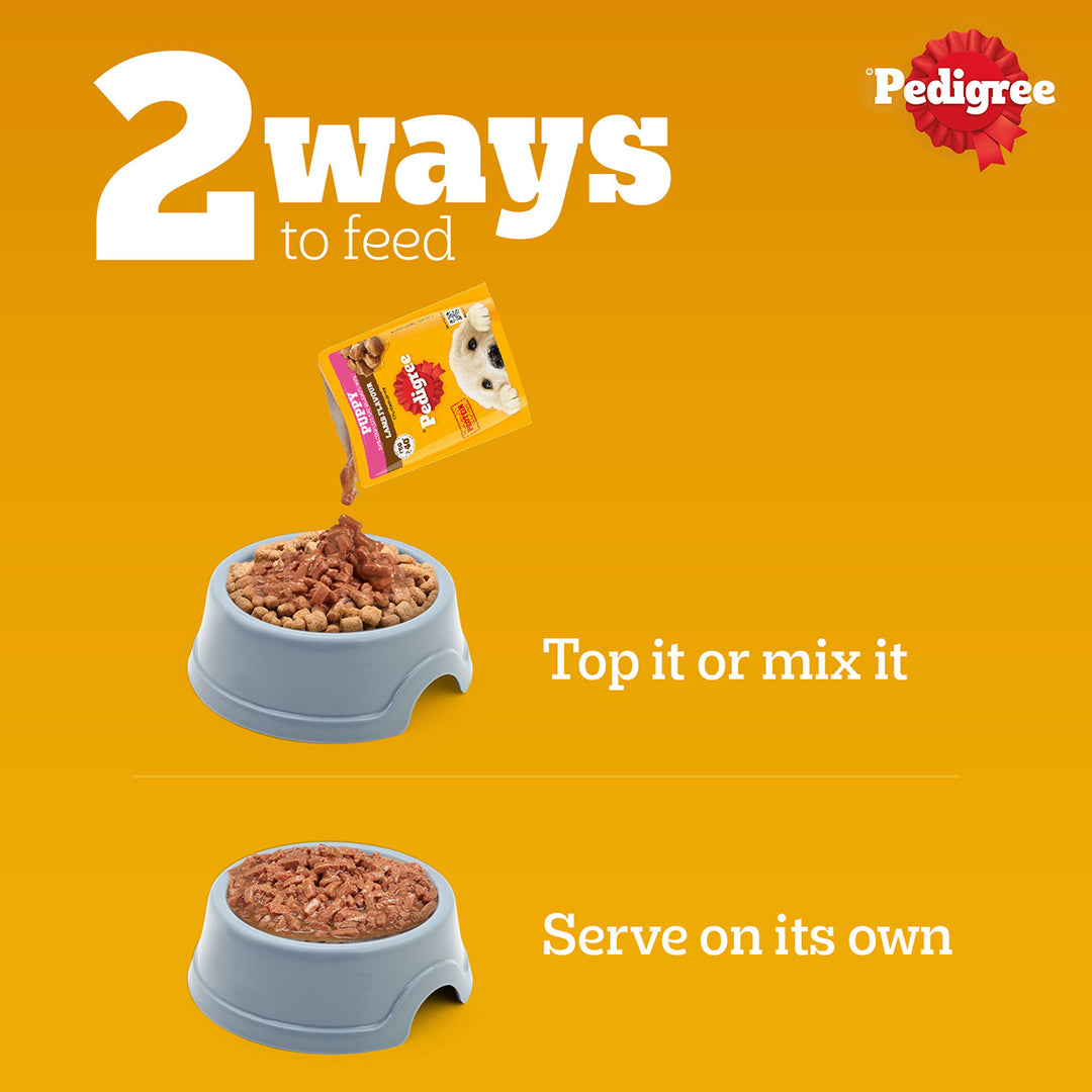Pedigree Lamb Flavour Chunks in Gravy Puppy Wet Dog Food