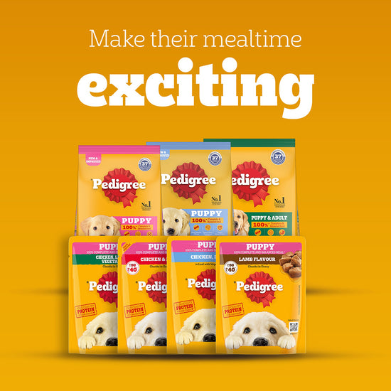 Pedigree Lamb Flavour Chunks in Gravy Puppy Wet Dog Food