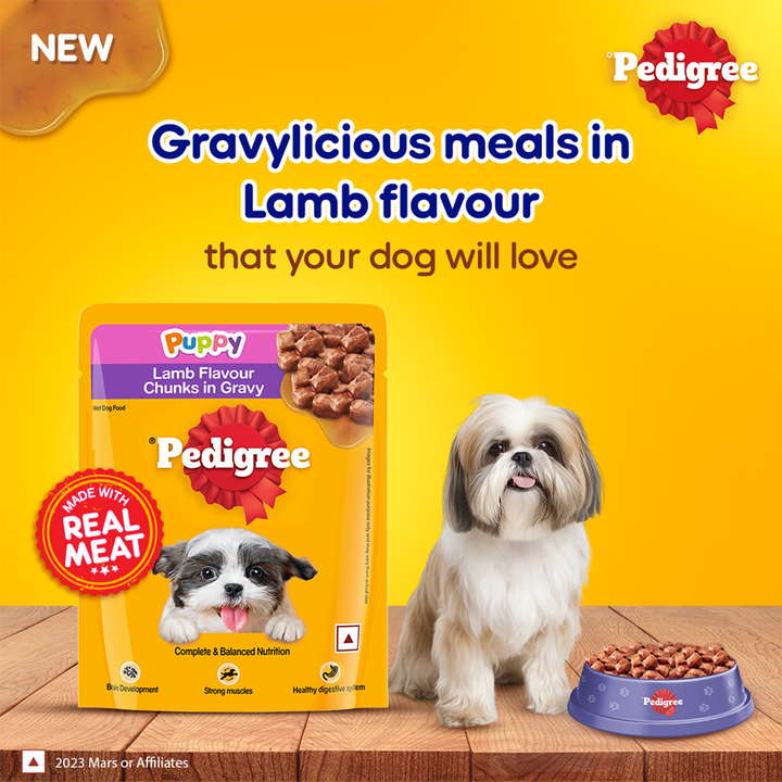 Pedigree Lamb Flavour Chunks in Gravy Puppy Wet Dog Food - 70g