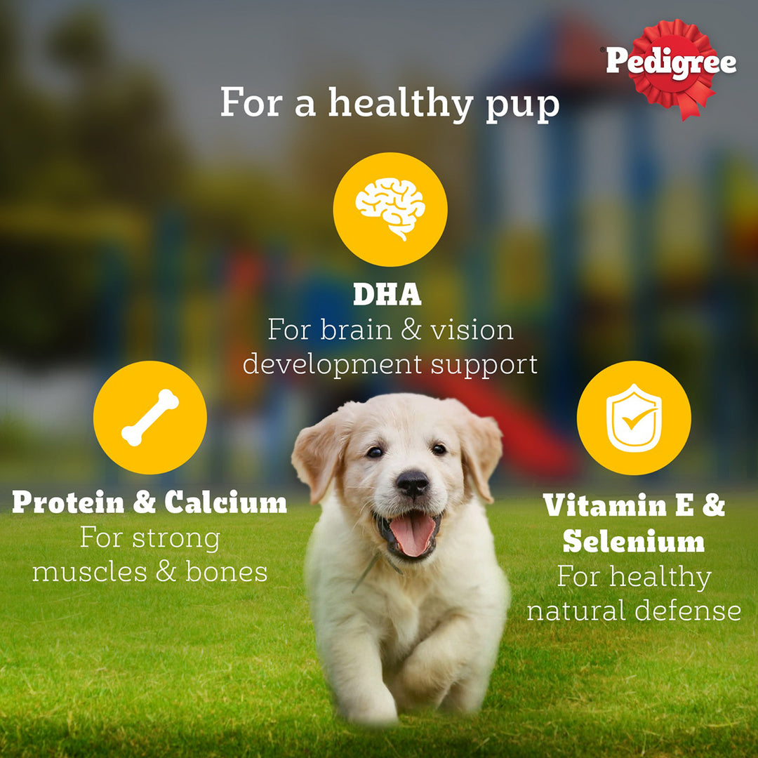 Pedigree Lamb Flavour Chunks in Gravy Puppy Wet Dog Food