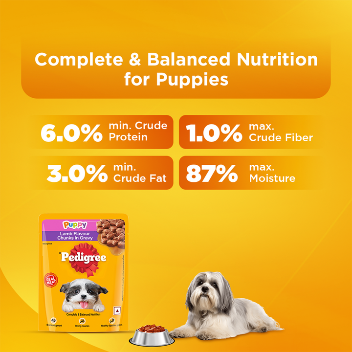 Pedigree Lamb Flavour Chunks in Gravy Puppy Wet Dog Food - 70g