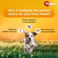 Pedigree Lamb Flavour Chunks in Gravy Puppy Wet Dog Food - 70g