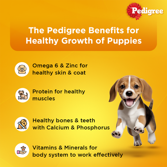 pedigree-puppy-wet-dog-food-lamb-flavor-chunks-in-gravy-70g
