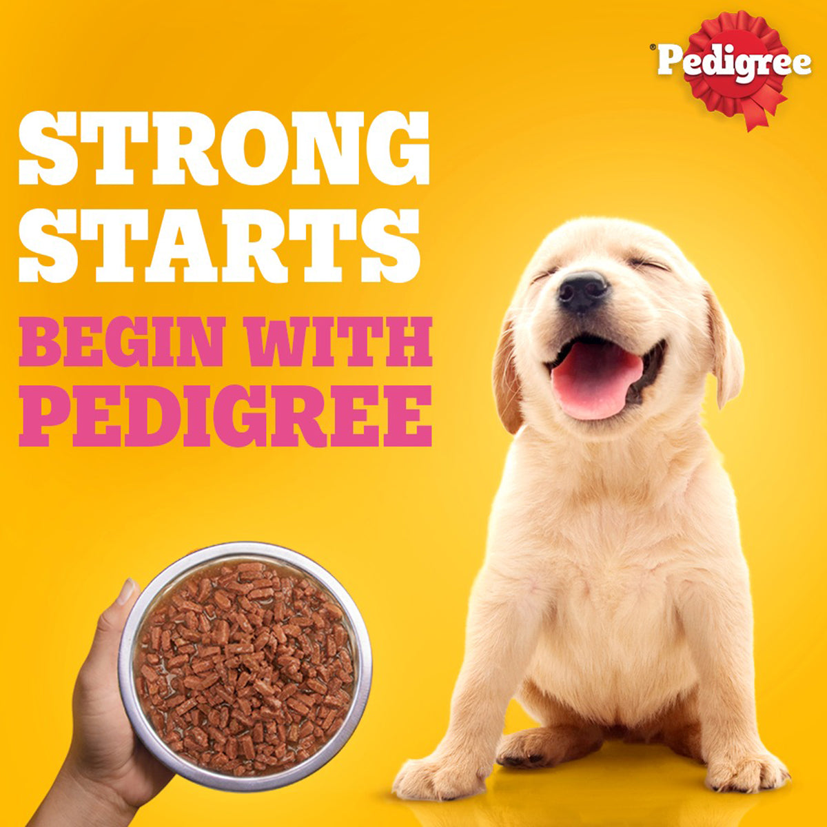 Pedigree Lamb Flavour Chunks in Gravy Puppy Wet Dog Food