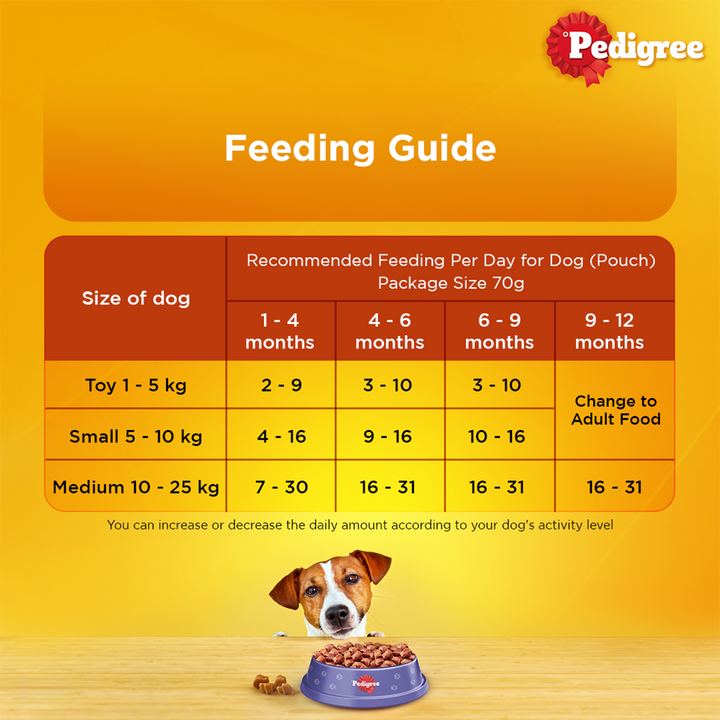 Pedigree Lamb Flavour Chunks in Gravy Puppy Wet Dog Food - 70g