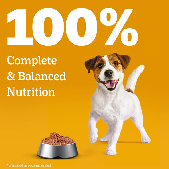 Pedigree Lamb Flavour Chunks in Gravy Puppy Wet Dog Food