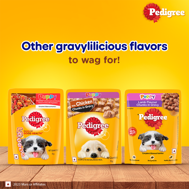 Pedigree Lamb Flavour Chunks in Gravy Puppy Wet Dog Food - 70g