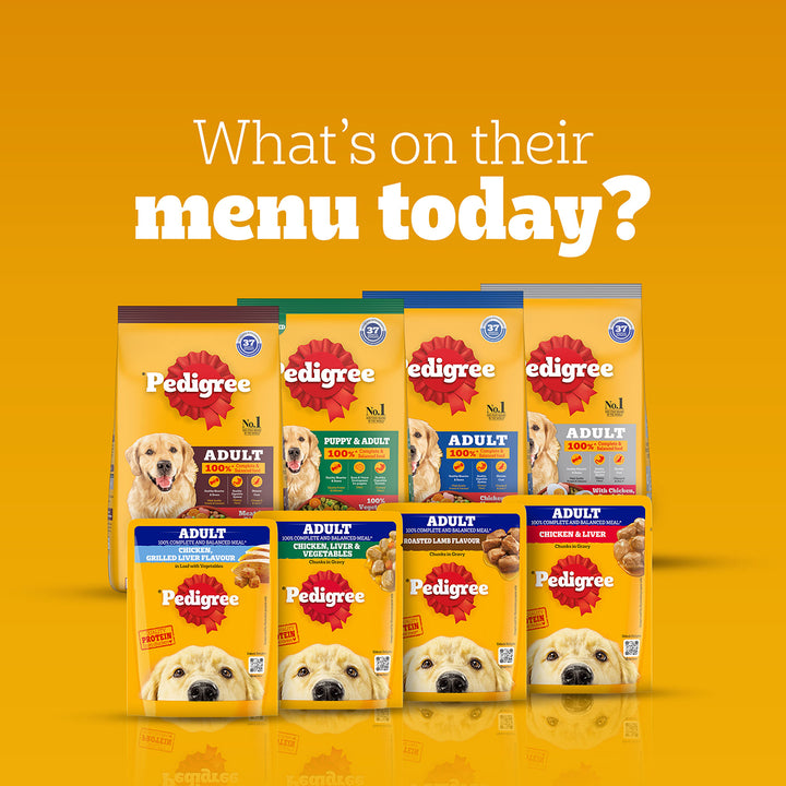 Pedigree Chicken & Vegetables Dry Dog Food - All Breed Adult