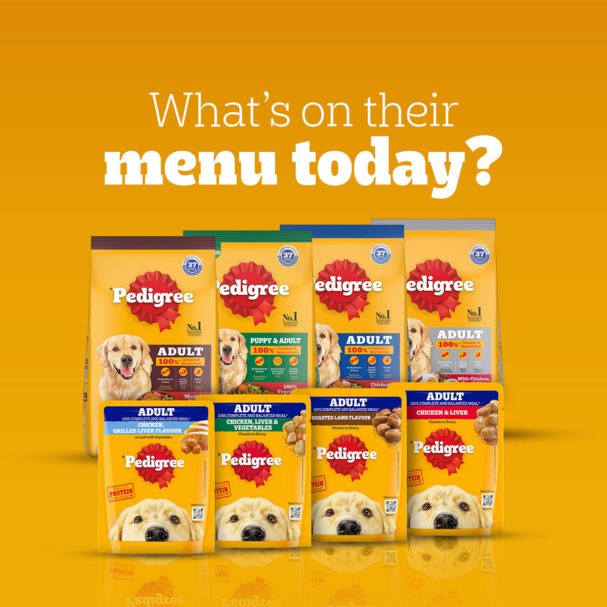 Pedigree Chicken & Vegetables Dry Dog Food - All Breed Adult