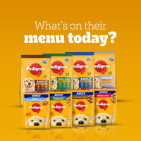 Pedigree Chicken & Vegetables Dry Dog Food - All Breed Adult