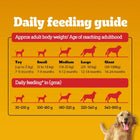 Pedigree Chicken & Vegetables Dry Dog Food - All Breed Adult - Zigly