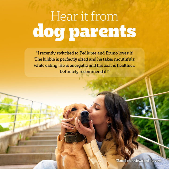 Pedigree Chicken & Vegetables Dry Dog Food - All Breed Adult