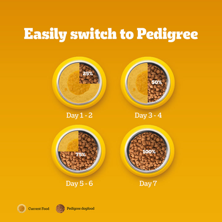 Pedigree Chicken & Vegetables Dry Dog Food - All Breed Adult
