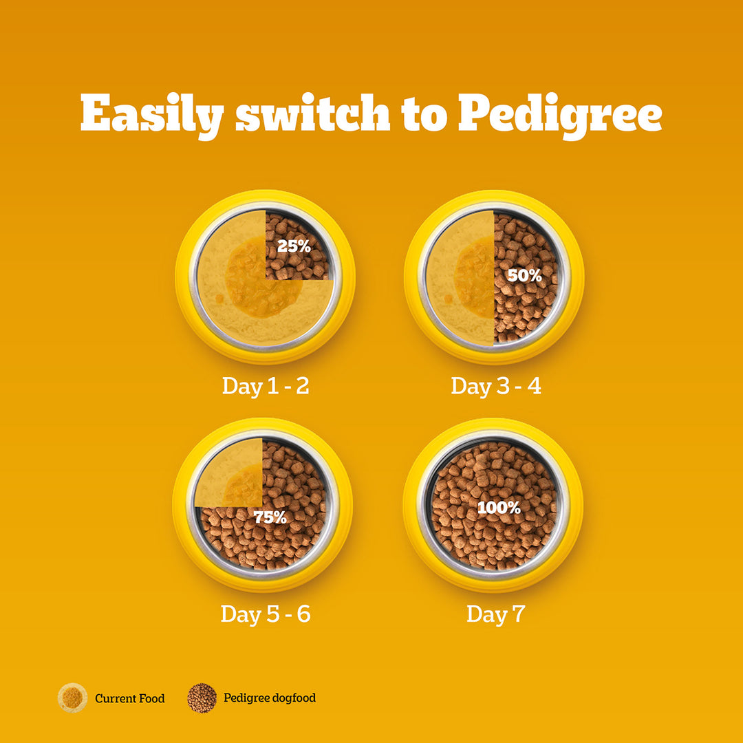 Pedigree Chicken & Vegetables Dry Dog Food - All Breed Adult