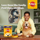 Pedigree Roasted Lamb Flavor Chunks in Gravy Adult Wet Dog Food - 70g