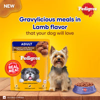 pedigree-adult-wet-dog-food-roasted-lamb-flavor-chunks-in-gravy-70g