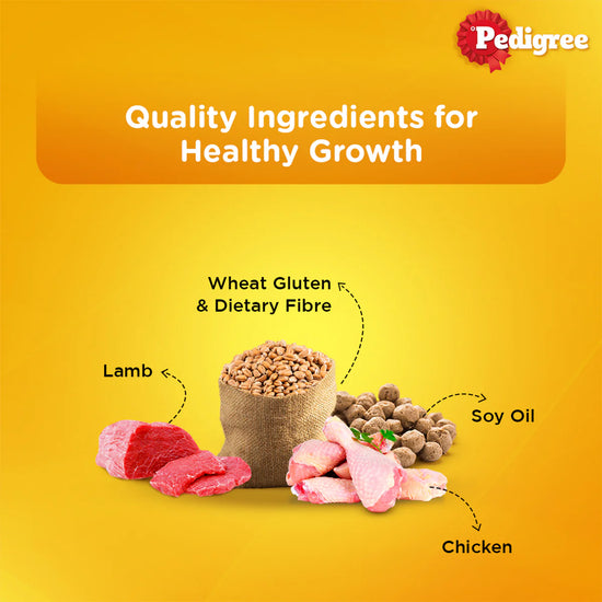 pedigree-adult-wet-dog-food-roasted-lamb-flavor-chunks-in-gravy-70g