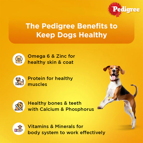 pedigree-adult-wet-dog-food-roasted-lamb-flavor-chunks-in-gravy-70g