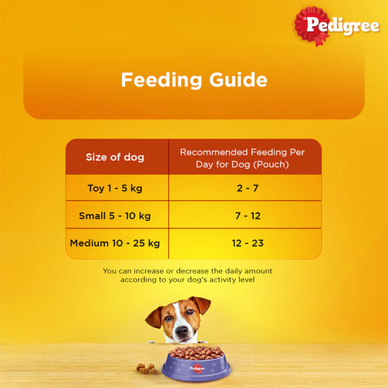 pedigree-adult-wet-dog-food-roasted-lamb-flavor-chunks-in-gravy-70g