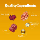 Pedigree Roasted Lamb Flavor Chunks in Gravy Adult Wet Dog Food - 70g