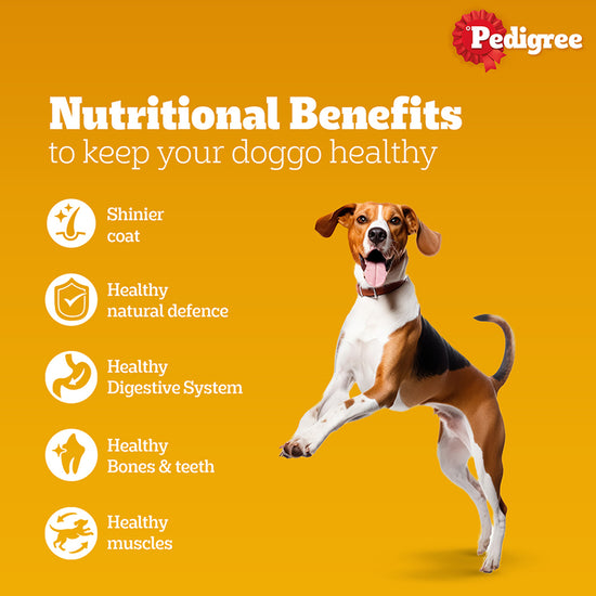 pedigree-meat-rice-dry-dog-food-all-breed-adult