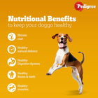 Pedigree Meat & Rice Dry Dog Food - All Breed Adult - Zigly