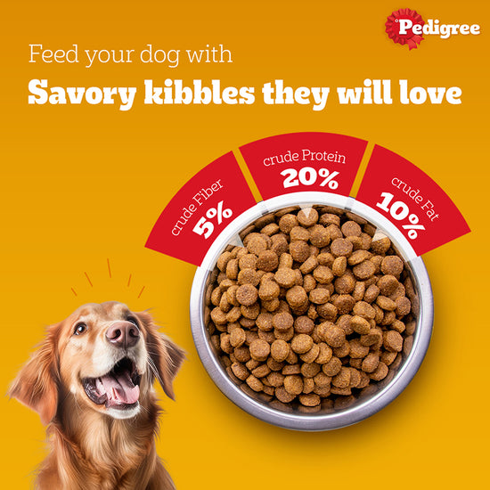 pedigree-meat-rice-dry-dog-food-all-breed-adult