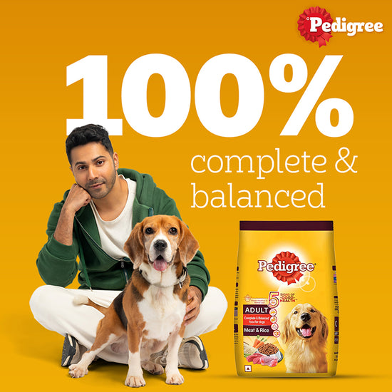 pedigree-meat-rice-dry-dog-food-all-breed-adult
