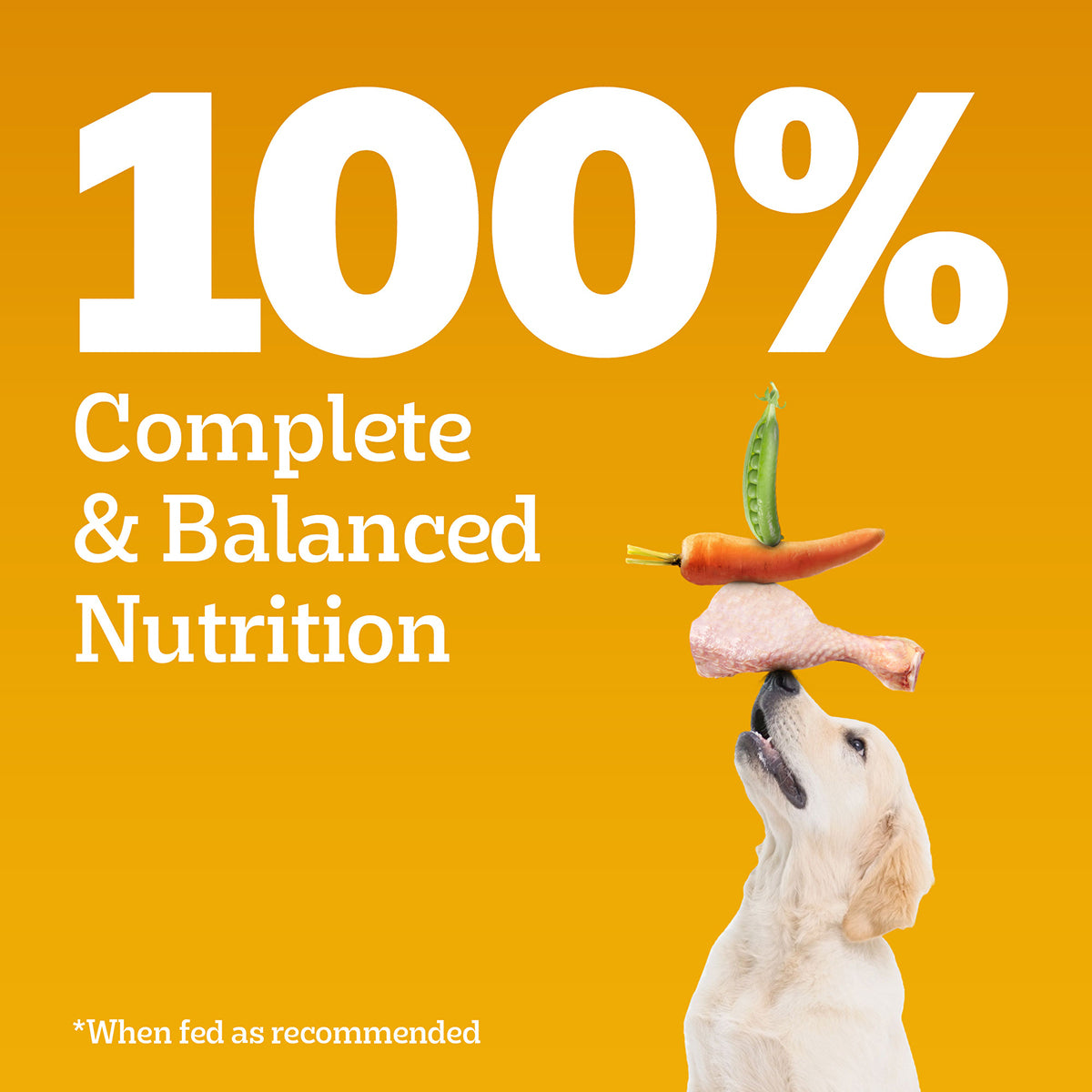 Pedigree Chicken & Milk Dry Dog Food - All Breed Puppy