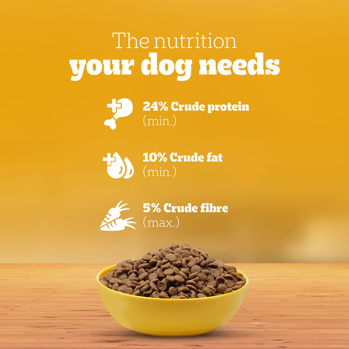 Pedigree Chicken & Milk Dry Dog Food - All Breed Puppy