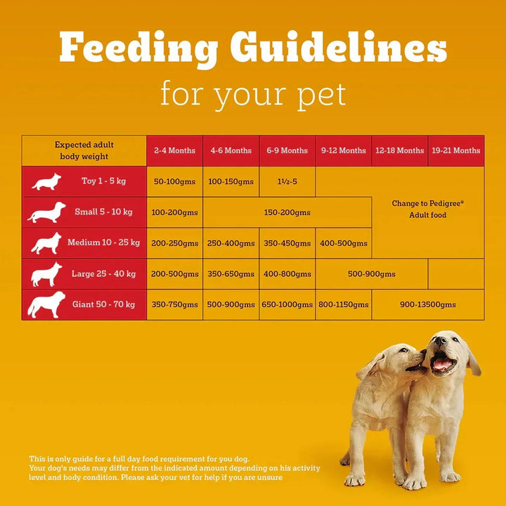How to Change from Puppy to Adult Dog Food: Expert Tips Revealed