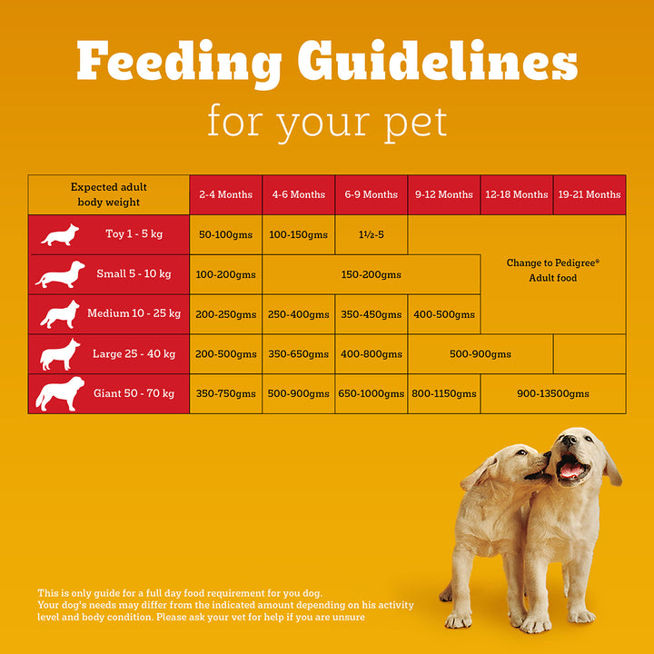 Pedigree Chicken & Milk Dry Dog Food - All Breed Puppy