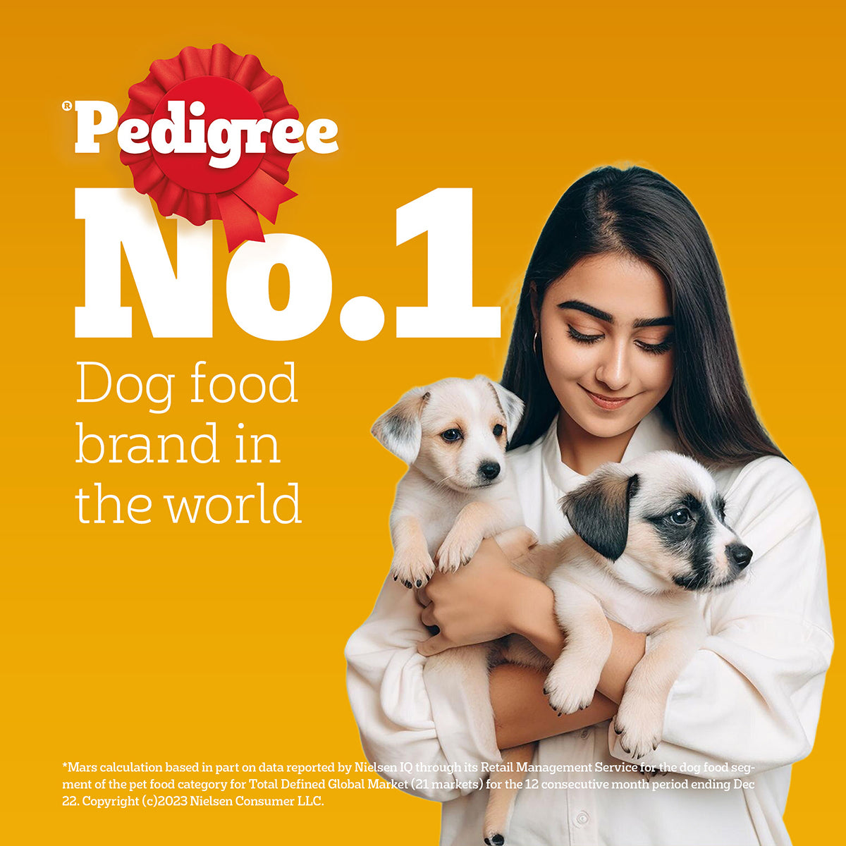 Pedigree Chicken & Milk Dry Dog Food - All Breed Puppy