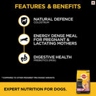 Pedigree PRO Expert Nutrition Lactating/Pregnant Mother & Pup Dry Dog Food - 3kg - Zigly