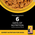 Pedigree PRO Expert Nutrition Lactating/Pregnant Mother & Pup Dry Dog Food - 3kg - Zigly