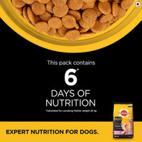 Pedigree PRO Expert Nutrition Lactating/Pregnant Mother & Pup Dry Dog Food - 3kg - Zigly