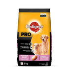 Pedigree PRO Expert Nutrition Lactating/Pregnant Mother & Pup Dry Dog Food - 3kg - Zigly