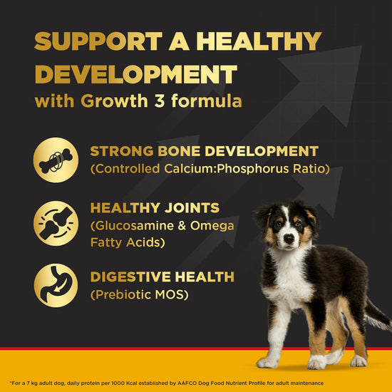 pedigree-puppy-pro-expert-nutrition-large-breed-dry-dog-food