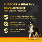 Pedigree Puppy PRO Expert Nutrition - Large Breed - Dry Dog Food - Zigly